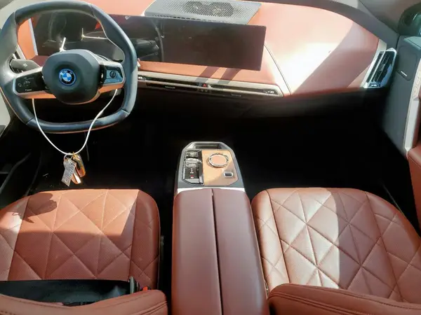 WB523CF02RCN70226 2024 BMW IX - Image 8