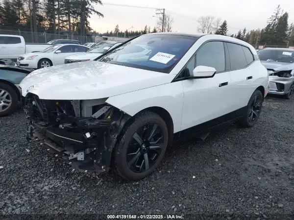 WB523CF03RCR84504 2024 BMW IX - Image 2