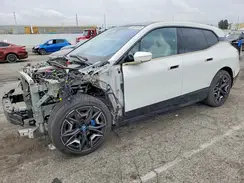WB523CF06RCN85862 2024 BMW IX