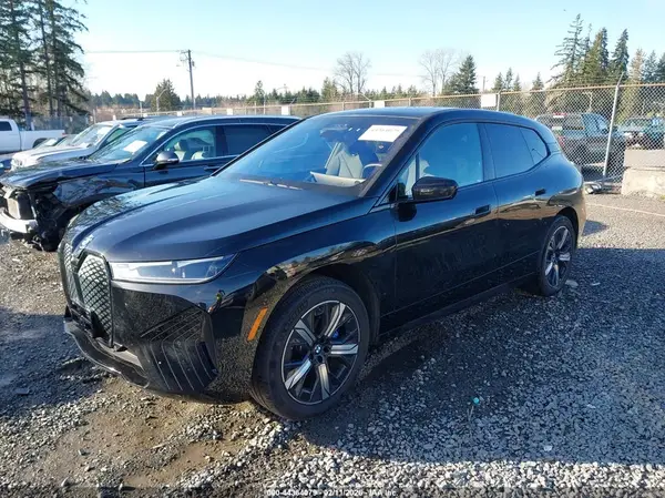 WB523CF06RCN91452 2024 BMW IX - Image 2