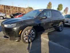 WB523CF06SCS46167 2025 BMW IX