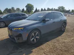 WB533CF09RCN74133 2024 BMW IX