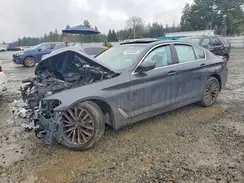 WBA13BJ06PCN29206 2023 BMW 5ER