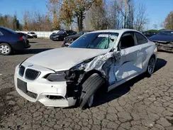 WBA1F9C50GV545124 2016 BMW 2ER
