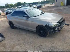 WBA1F9C50GV545379 2016 BMW 2ER