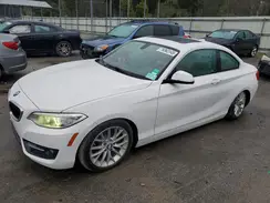 WBA1F9C50GV545981 2016 BMW 2ER