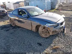 WBA1F9C52GV545125 2016 BMW 2ER