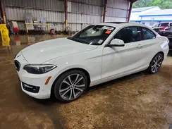WBA1F9C53GV546364 2016 BMW 2ER
