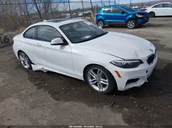 WBA1F9C54GV544865 2016 BMW 2ER
