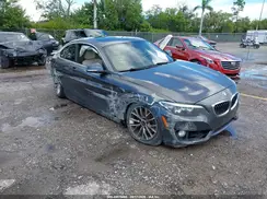 WBA1F9C56GV544155 2016 BMW 2ER