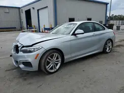 WBA1F9C56GV544933 2016 BMW 2ER