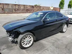 WBA1F9C56GV544978 2016 BMW 2ER