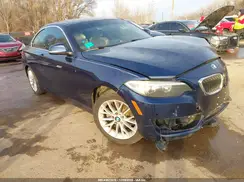 WBA1F9C57GV544424 2016 BMW 2ER