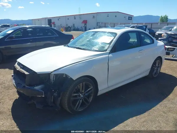 WBA1F9C58GV545260 2016 BMW 2ER - Image 2