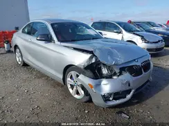 WBA1F9C58GV546490 2016 BMW 2ER