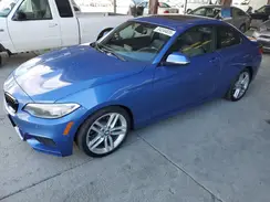 WBA1F9C59GV546739 2016 BMW 2ER