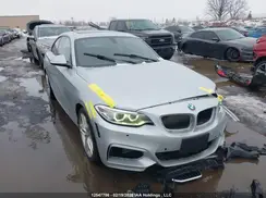 WBA1G9C50GV599794 2016 BMW 2ER