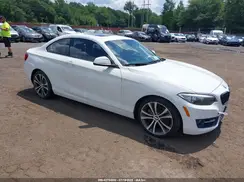 WBA1G9C50GV726706 2016 BMW 2ER