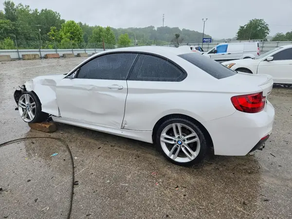 WBA1G9C51GV727041 2016 BMW 2ER - Image 2