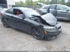 WBA1G9C52GV598422 2016 BMW 2ER