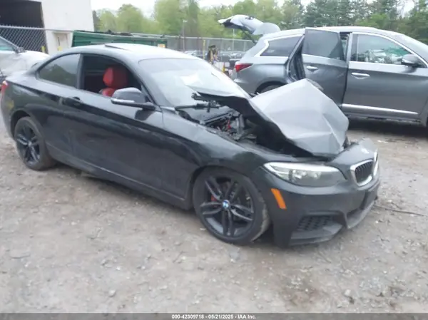 WBA1G9C52GV598422 2016 BMW 2ER - Image 1