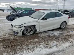 WBA1G9C52GV598713 2016 BMW 2ER