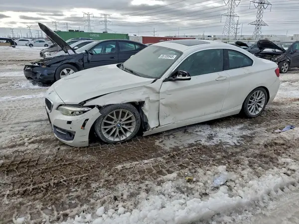 WBA1G9C52GV598713 2016 BMW 2ER - Image 1