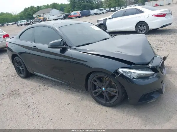 WBA1G9C52GV598985 2016 BMW 2ER - Image 1