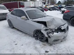 WBA1G9C52GV599103 2016 BMW 2ER