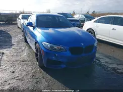 WBA1G9C53GV598641 2016 BMW 2ER