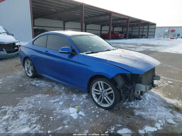 WBA1G9C53GV599207 2016 BMW 2ER - Image 1