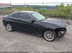 WBA1G9C53GV726781 2016 BMW 2ER