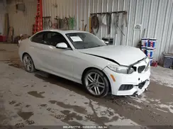 WBA1G9C53GVX97088 2016 BMW 2ER