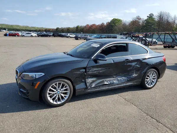 WBA1G9C54GV598406 2016 BMW 2ER