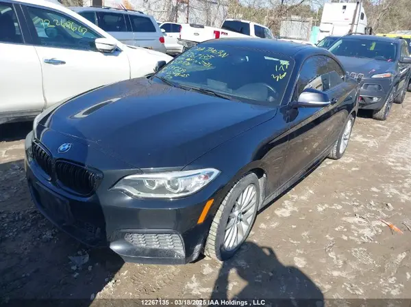 WBA1G9C54GV598793 2016 BMW 2ER - Image 2