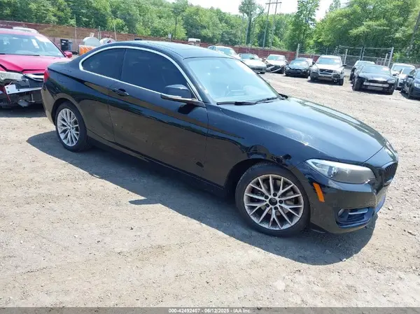 WBA1G9C54GV599281 2016 BMW 2ER - Image 1