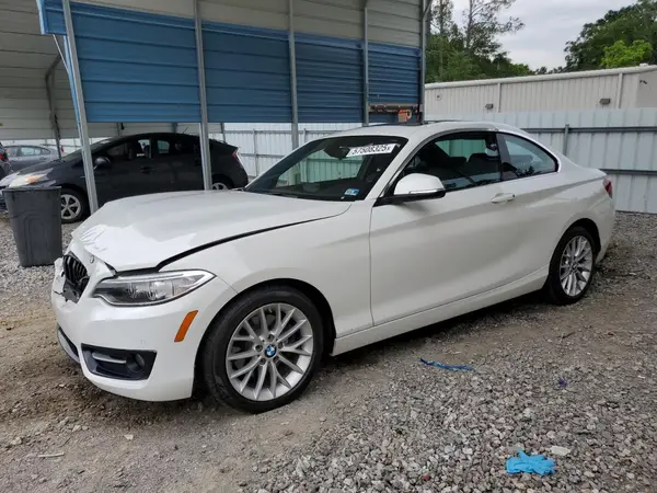 WBA1G9C54GV599426 2016 BMW 2ER - Image 1