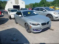 WBA1G9C54GV599734 2016 BMW 2ER