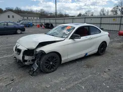 WBA1G9C54GV726613 2016 BMW 2ER