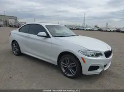 WBA1G9C54GV726742 2016 BMW 2ER