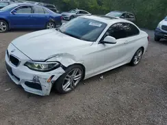 WBA1G9C54GV727132 2016 BMW 2ER