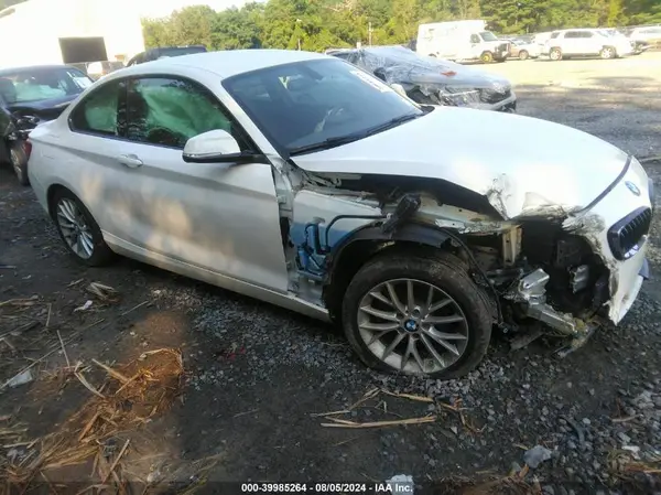 WBA1G9C55GV726460 2016 BMW 2ER - Image 1