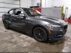 WBA1G9C55GVX97318 2016 BMW 2ER
