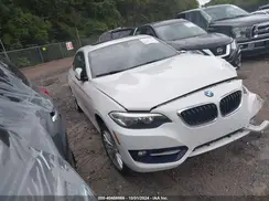 WBA1G9C56GV598875 2016 BMW 2ER