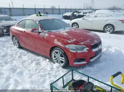 WBA1G9C56GV599699 2016 BMW 2ER
