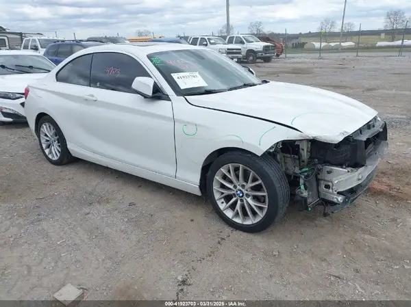 WBA1G9C56GV599797 2016 BMW 2ER - Image 1