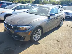 WBA1G9C56GVX96968 2016 BMW 2ER
