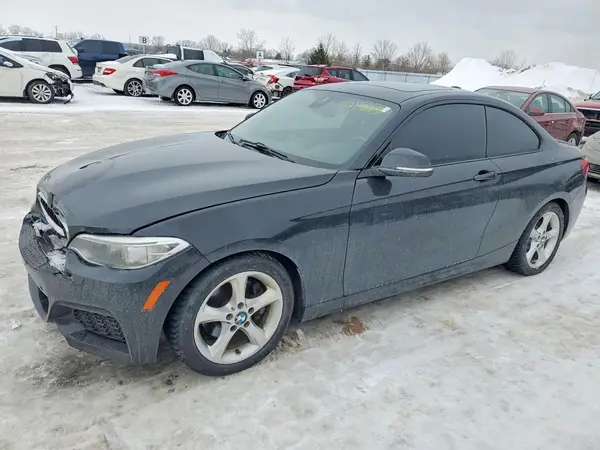 WBA1G9C57GV726119 2016 BMW 2ER - Image 1