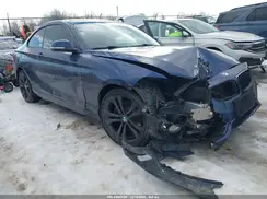 WBA1G9C57GVX97157 2016 BMW 2ER