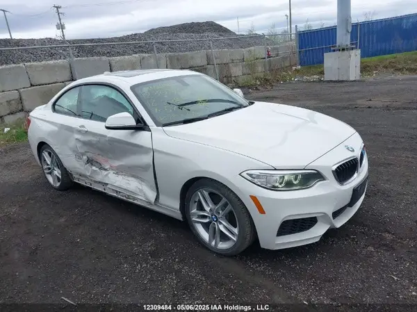 WBA1G9C59GV599101 2016 BMW 2ER - Image 1